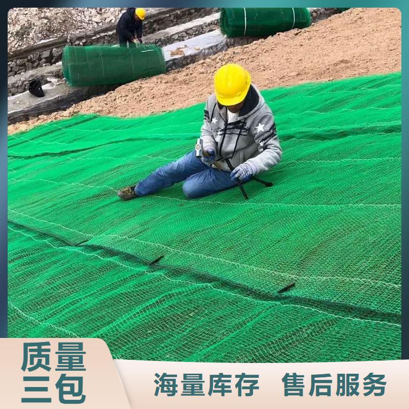 许昌三维植被网加筋土工网垫EM5植被网护坡加筋本地生产厂家