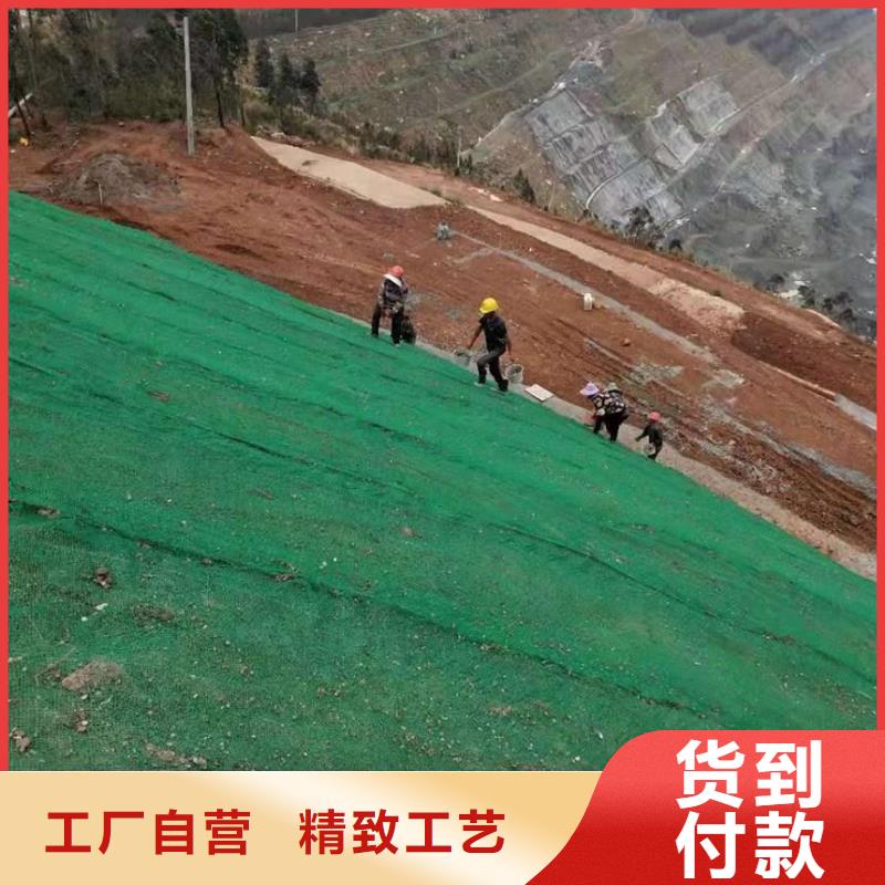 郴州EM4三维土工网垫EM4护坡固土防止水土流失附近制造商