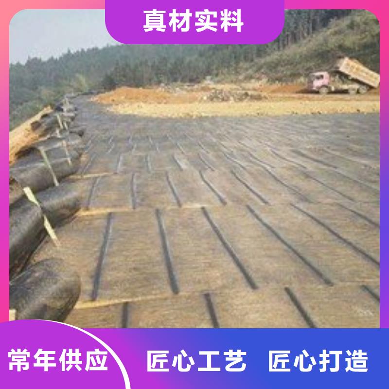 安徽经编涤纶土工格栅厂家防渗反滤道路养护环保防尘本地品牌