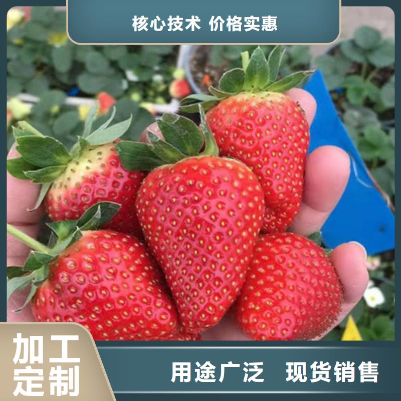 咖啡草莓苗合作社欢迎来厂考察