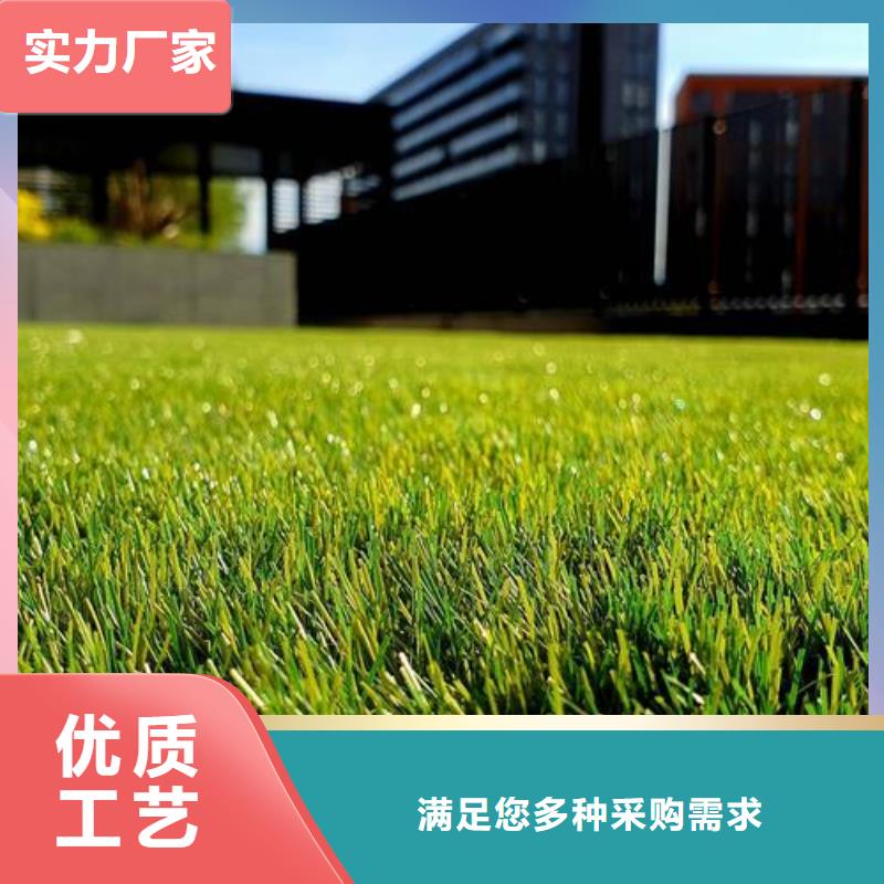 鹤壁学校塑胶跑道PVC地板球场厂家百搜不如一问厂家现货批发