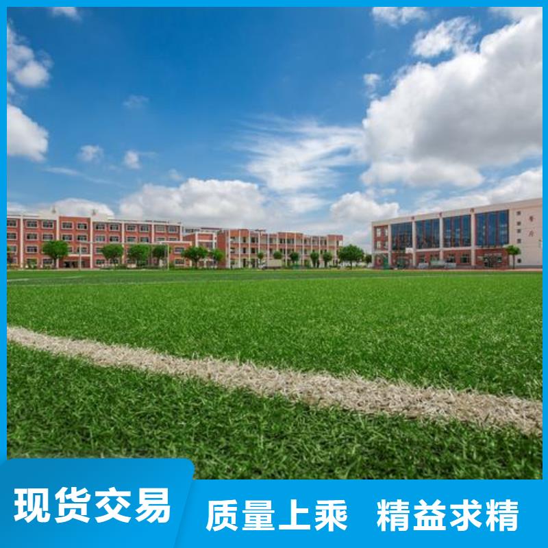 湘潭注重学校塑胶跑道PVC地板球场厂家质量的厂家现货交易