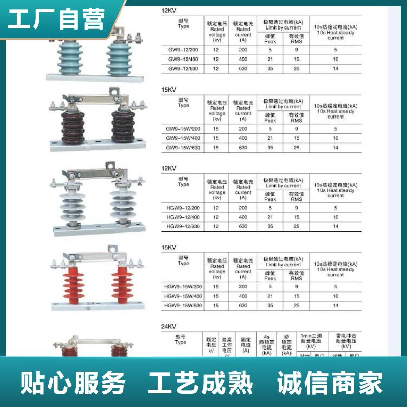 羿振电力【隔离开关】GW9-24KV/1250优选厂商