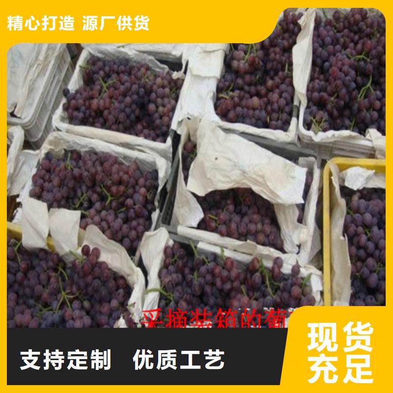 推荐：延安克瑞森葡萄苗厂家追求品质