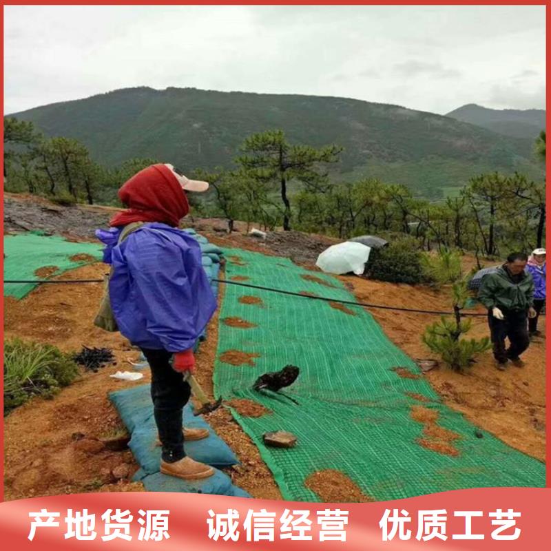 山西长治椰丝植物毯本地供应商