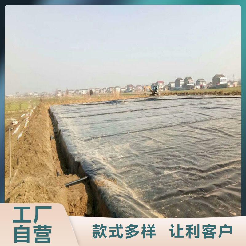 滨州市双毛面聚乙烯土工膜本地供应商