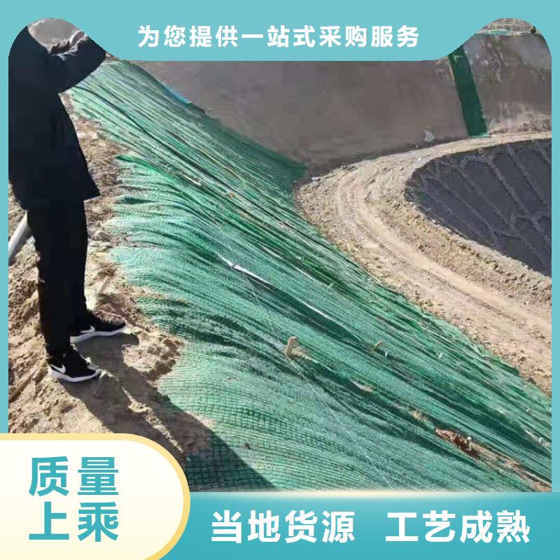 重庆市环保草毯渗透系数本地公司