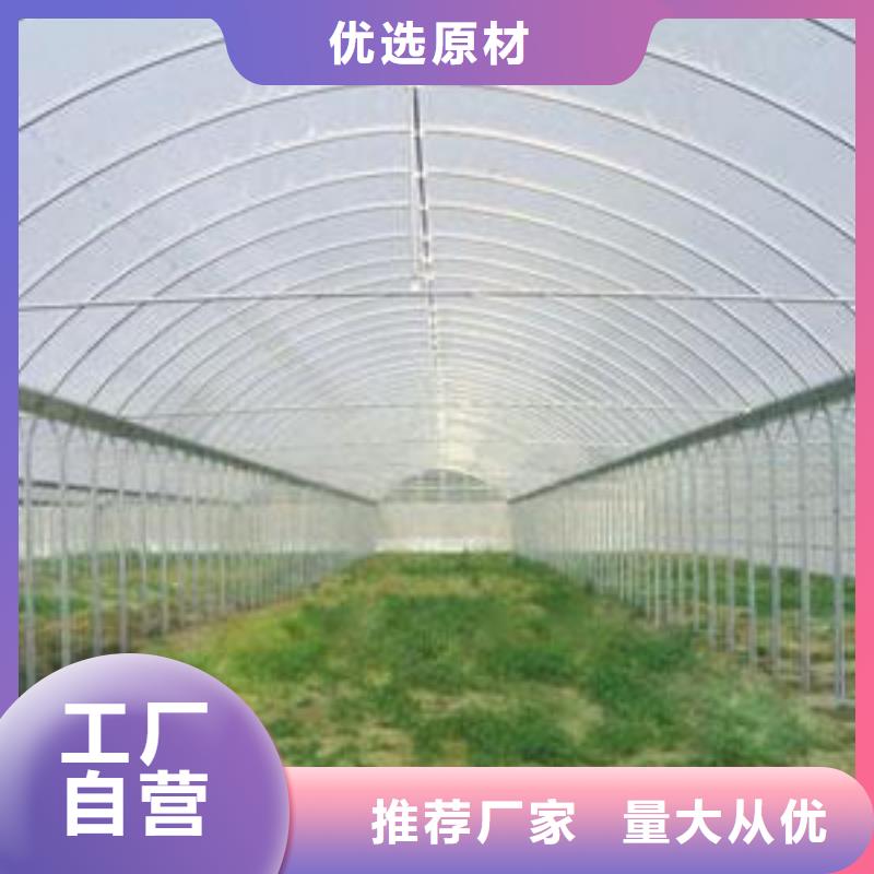 【镀锌大棚管_异型紫铜管精工打造】经销商