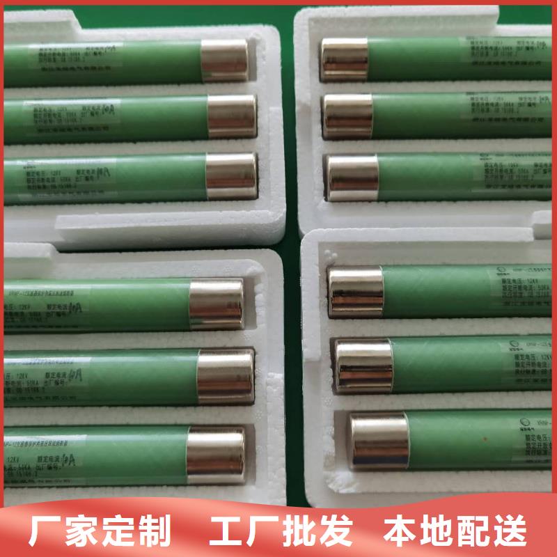 丽江XRNP-7.2KV互感器保护用高压限流熔断器同城经销商