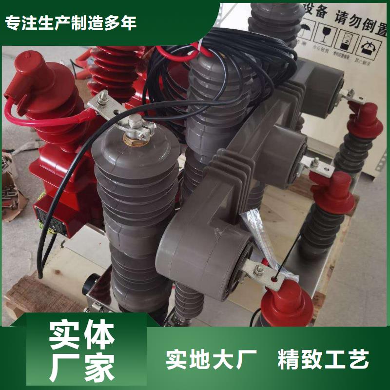 沈阳厂家ZW32M-12G/T1250-31.5户外高压真空断路器优良工艺