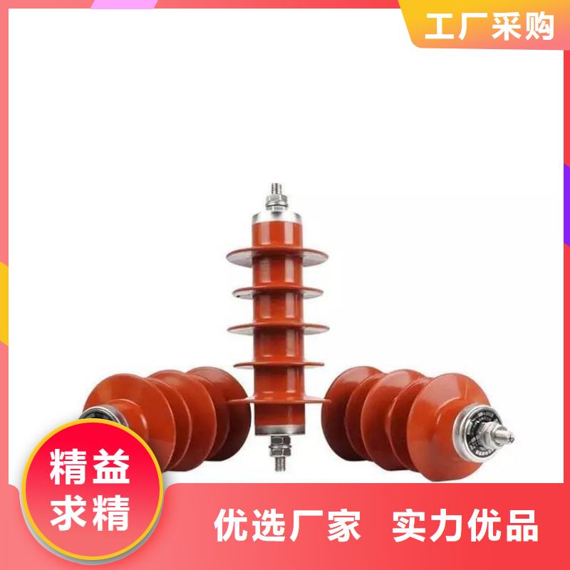 澄迈县电机型氧化锌避雷器HY5WD-20/45生产厂家当地供应商