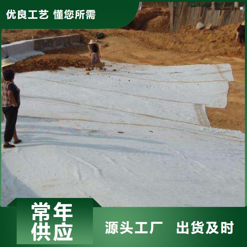 膨润土防水毯【塑料土工滤网】设计制造销售服务一体本地制造商