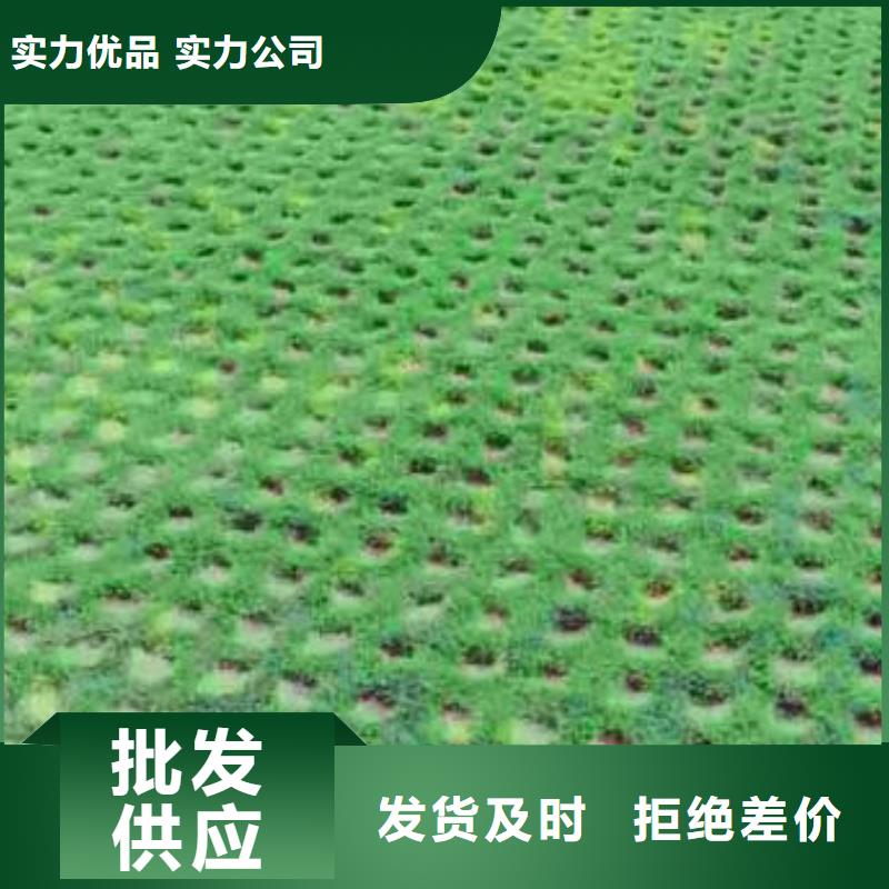 植草格土工格室放心购本地经销商