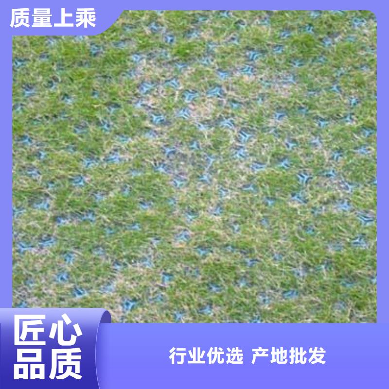 植草格PVC防水卷材多年厂家可靠可放心采购