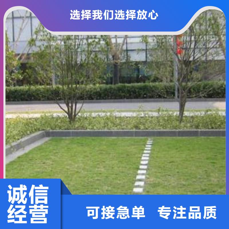 植草格土工格室源厂直销厂家直销货源充足