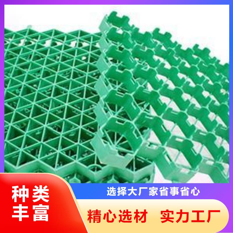 植草格_塑料盲沟厂家直销售后完善用好材做好产品