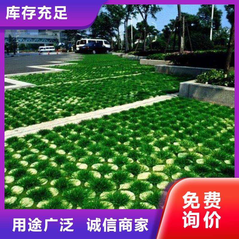 【植草格】玻纤土工格栅优选原材附近货源