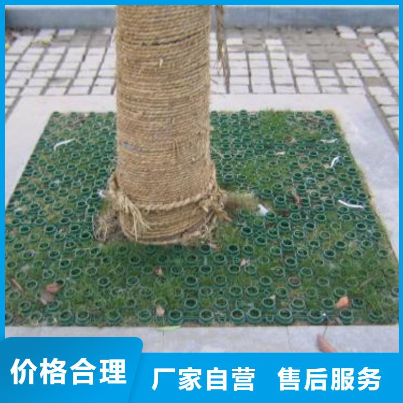 植草格双向塑料土工格栅质量安全可靠放心购