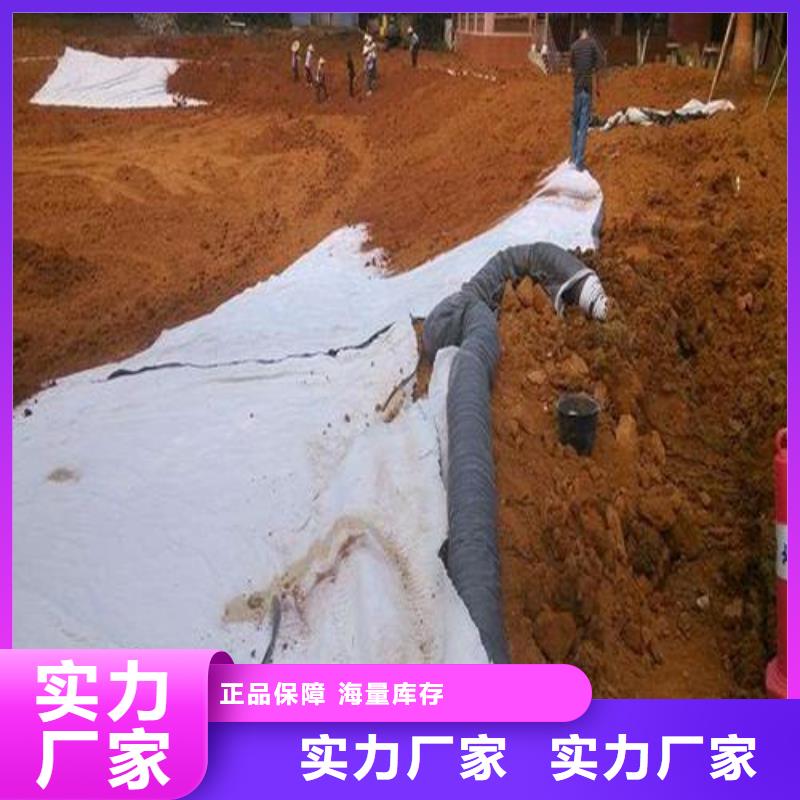 膨润土防水毯塑料土工格栅质量无忧标准工艺