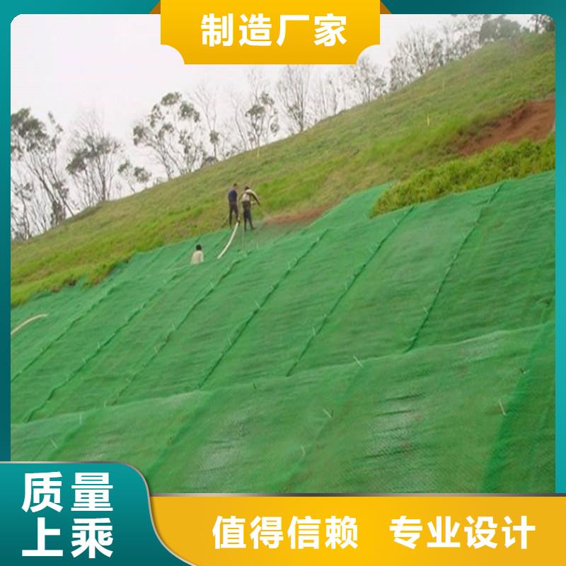 三维植被网,单向塑料土工格栅现货充足量大优惠附近货源