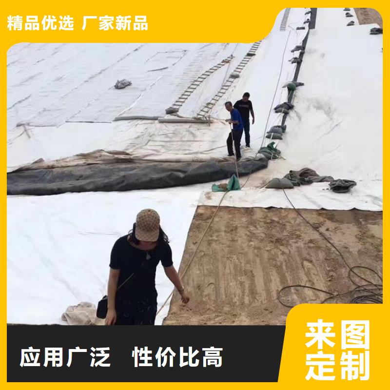 三维复合排水网双向土工格栅用品质赢得客户信赖附近服务商