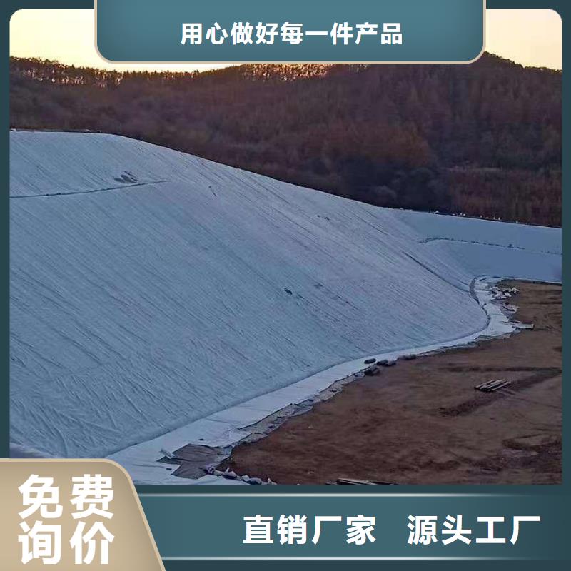 三维复合排水网,塑料土工滤网好货有保障本地生产商