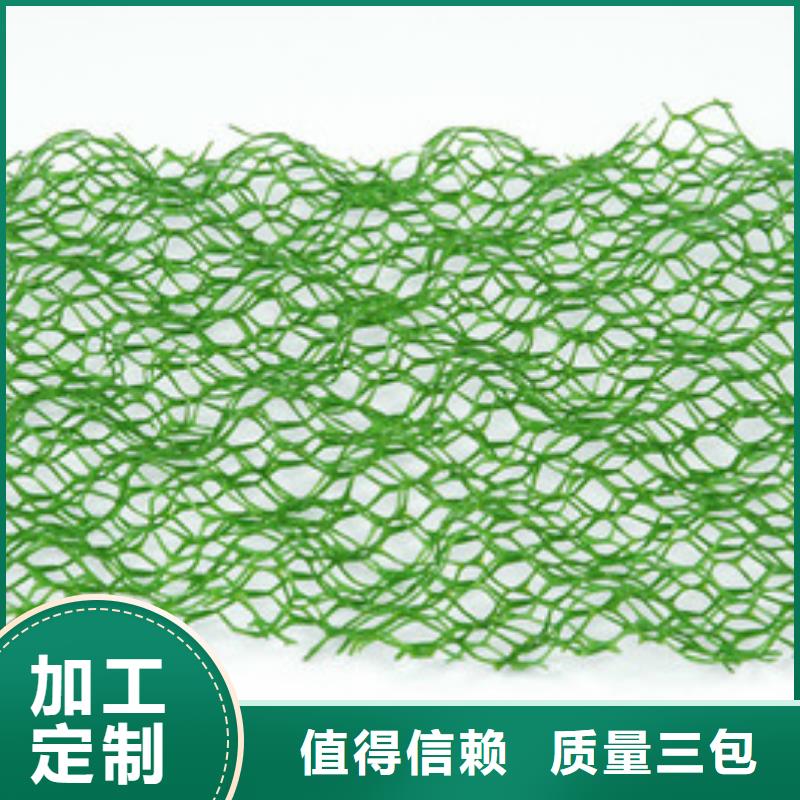 江苏土工排水网厂家复合三维网价格三维土工网垫多少钱性价比高