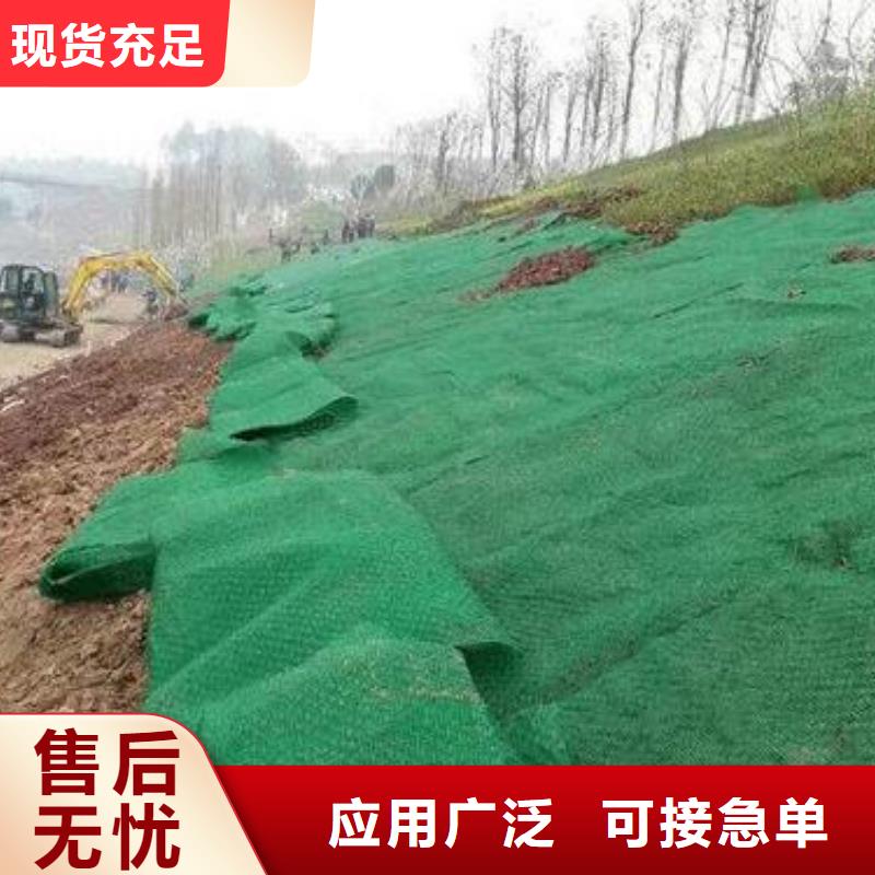 三维植被网-双向塑料格栅优选厂商源头工厂量大优惠