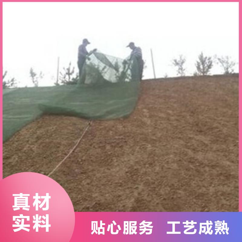 海南三维排水网厂家三维复合排水网价格三维土工网垫多少钱当地品牌