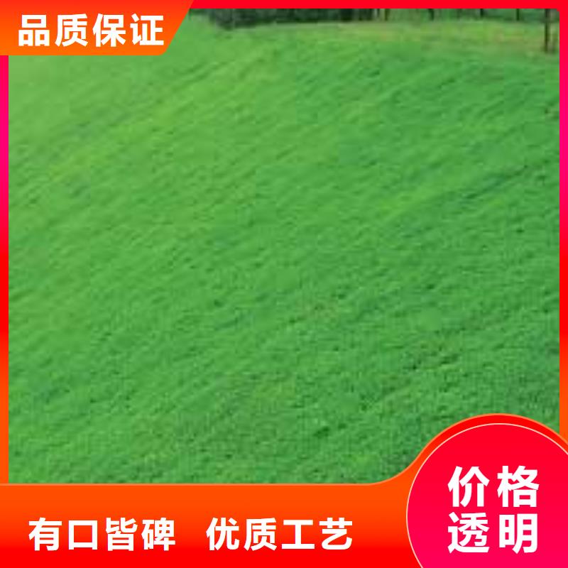 三维植被网【膨润土防水毯】应用范围广泛联系厂家