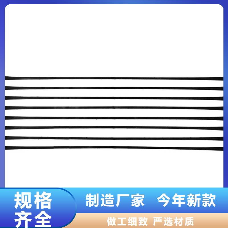 塑料养殖土工格栅定制可拉伸用单向塑料土工格栅塑料土工格栅工厂直销