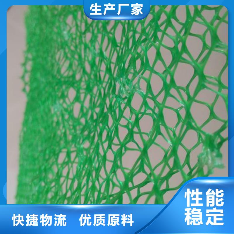 佛山三维植被网厂家三维植被网价格三维植被网量大从优同城生产厂家