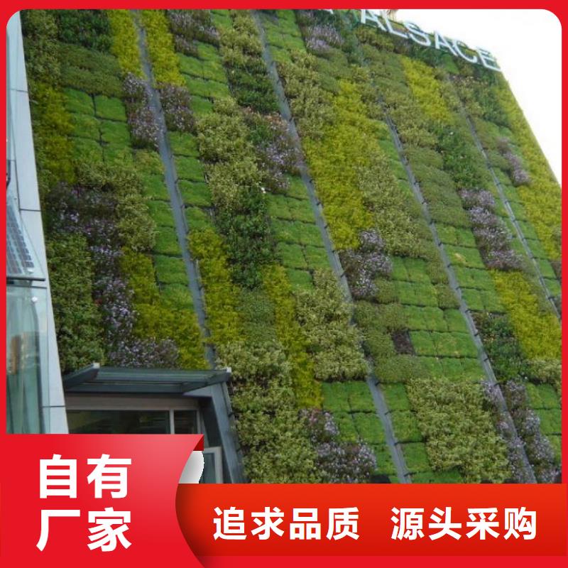 杭州泰安-三维植被网厂家价格-三维植被网报价2024优质货源