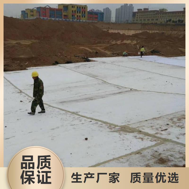 防水毯-护坡土工网追求品质颜色尺寸款式定制