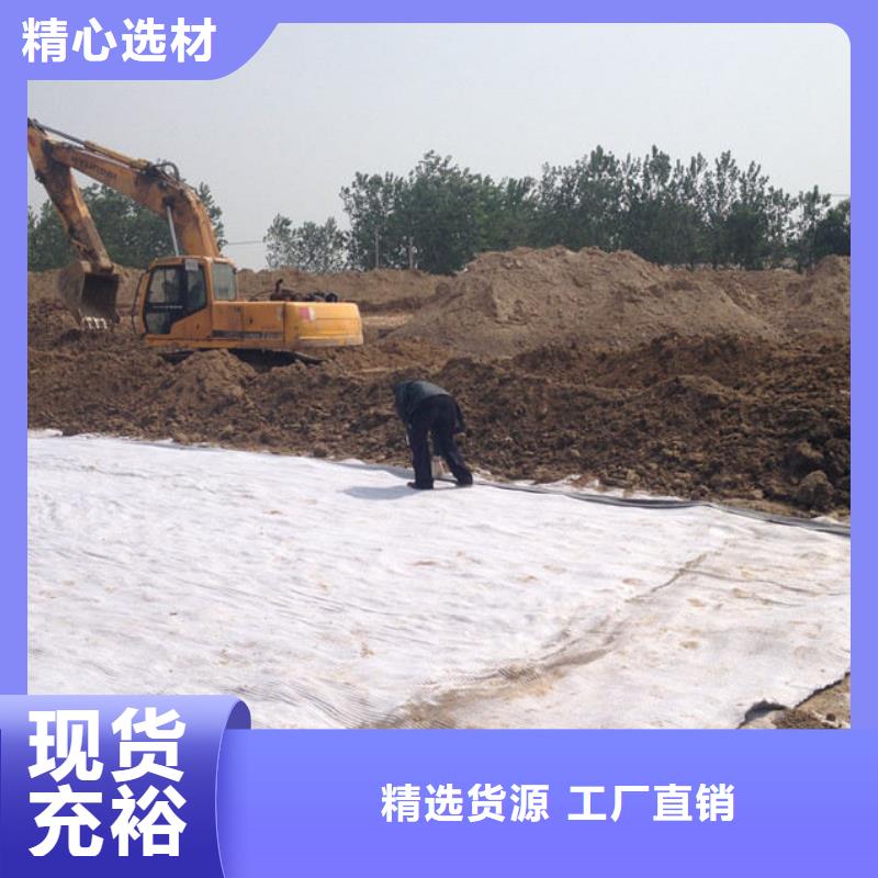 【防水毯】-双向塑料土工格栅出货及时有口皆碑