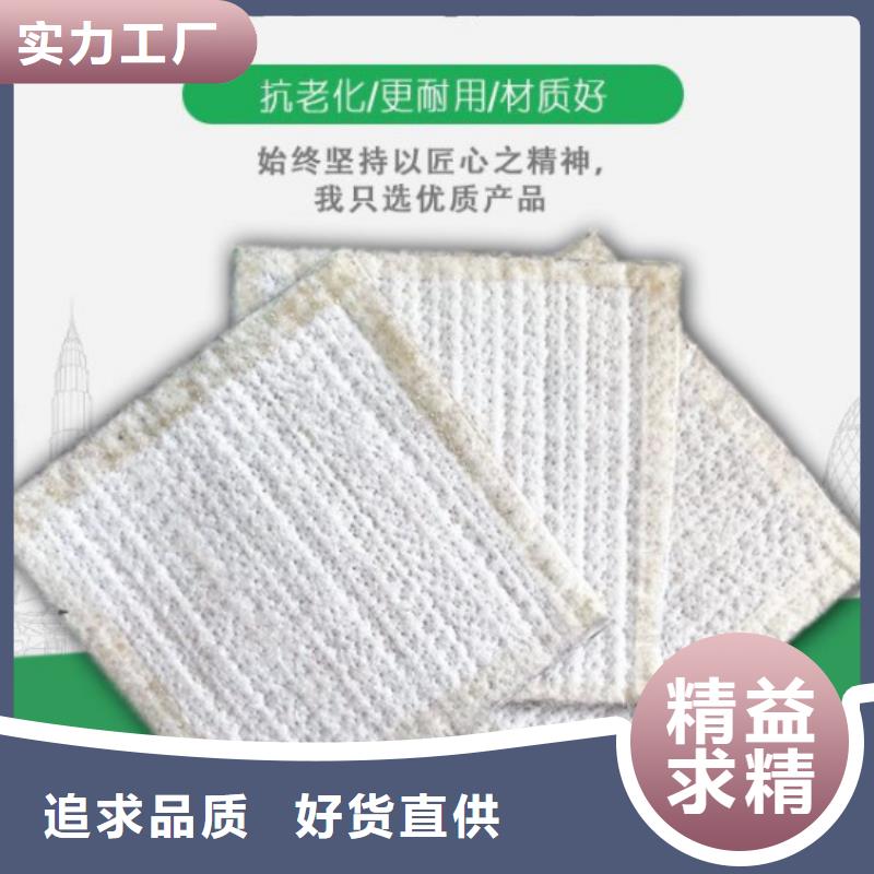 【防水毯】,单向塑料土工格栅用心做产品用途广泛