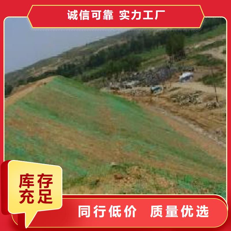 【三维植被网短丝土工布源头厂家直销】当地厂家