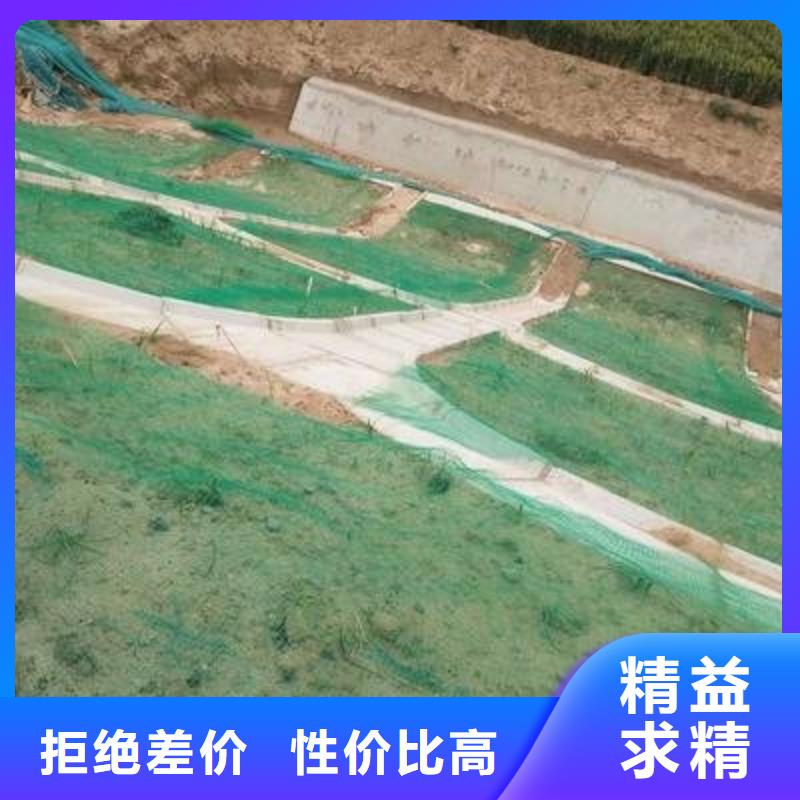 三维植被网土工布价格专业按需定制定制不额外收费