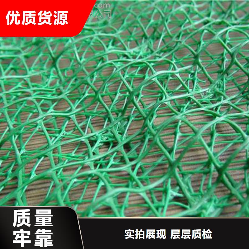 【三维植被网土工布技术先进】工厂现货供应