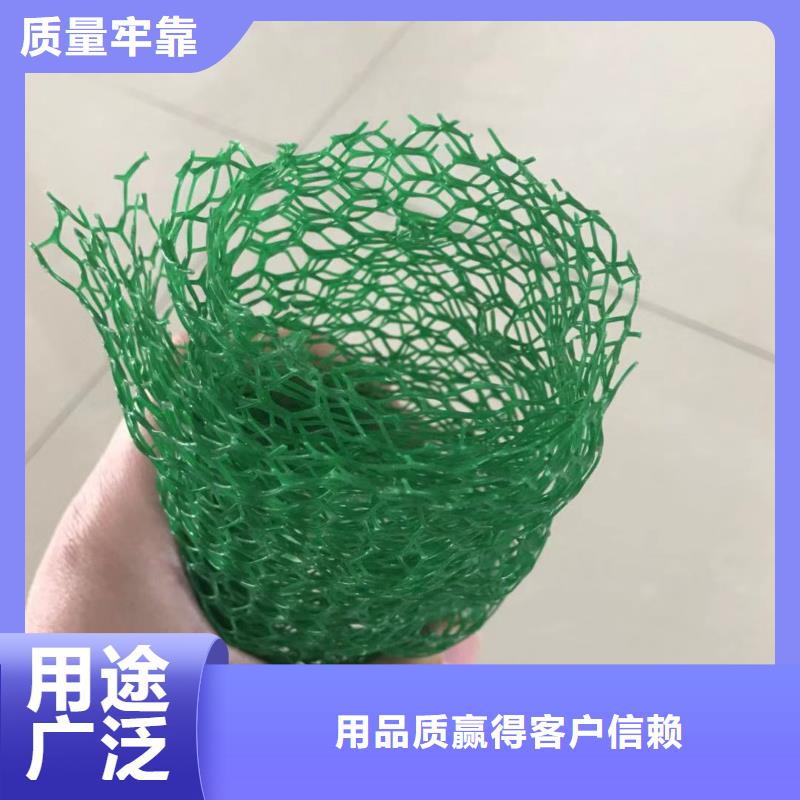 三维植被网-HDPE土工膜专业生产品质保证以质量求生存