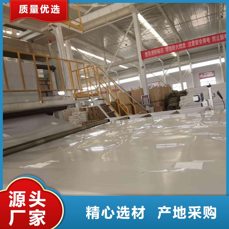 安顺EVA防水板施工方法实地大厂