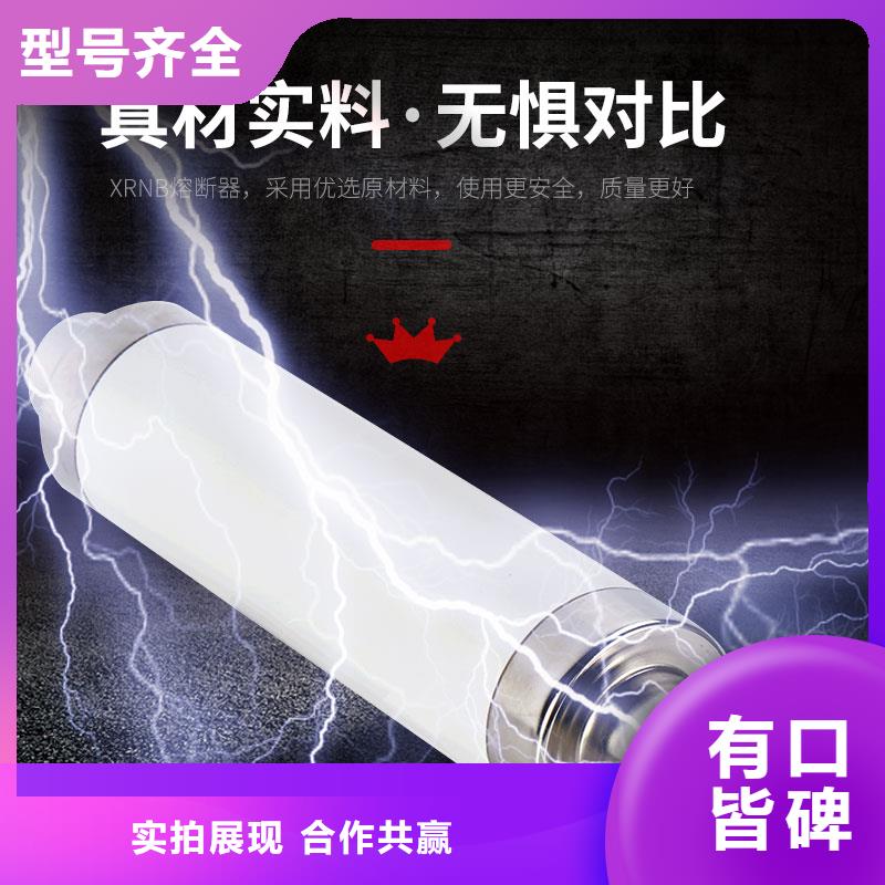 XRNP1-12KV/2A高压PT熔管高品质诚信厂家