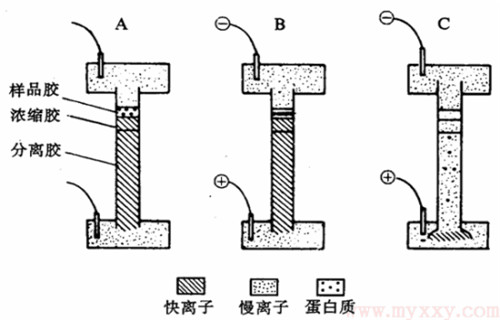 邵阳-工业废水除磷剂本地服务商