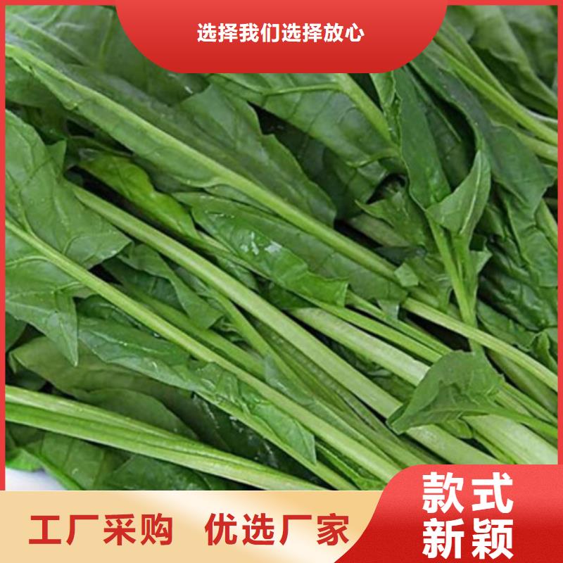 菠菜粉团队品质值得信赖