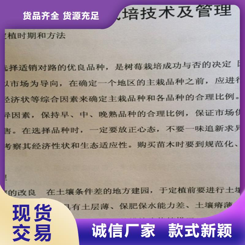 树莓_梨树苗应用领域性价比高