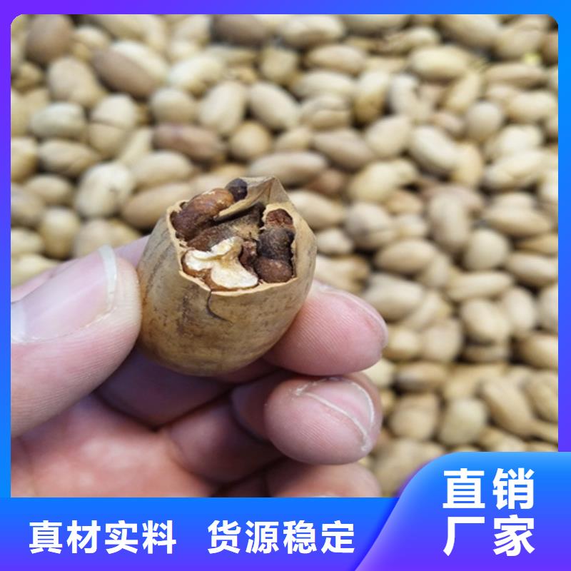 碧根果-樱桃苗多年经验值得信赖质量上乘