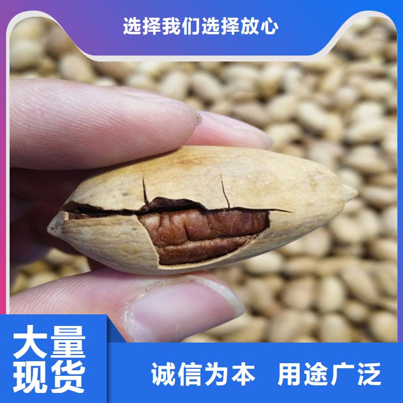 碧根果樱桃苗打造好品质N年专注