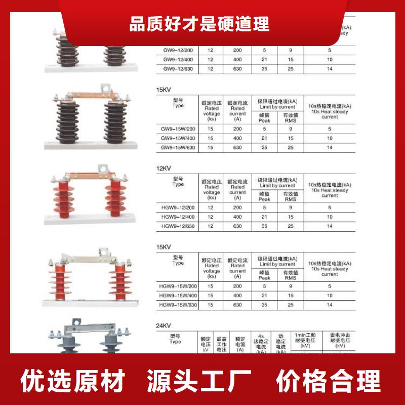 10KV单级隔离开关GW9-15W/1000A同城公司