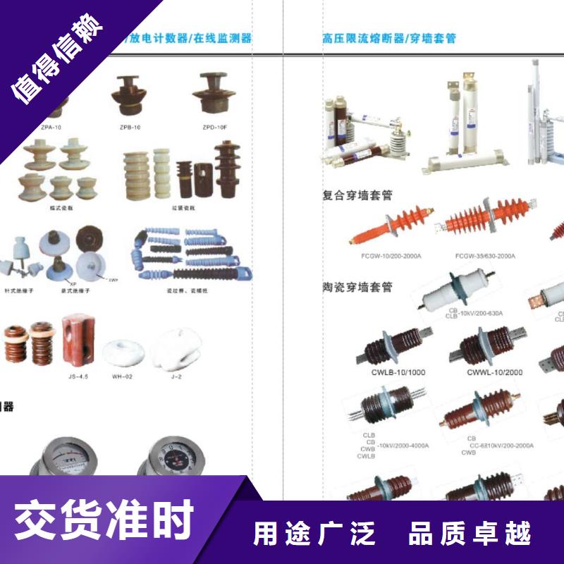 高压隔离开关【跌落式熔断器】严谨工艺附近公司