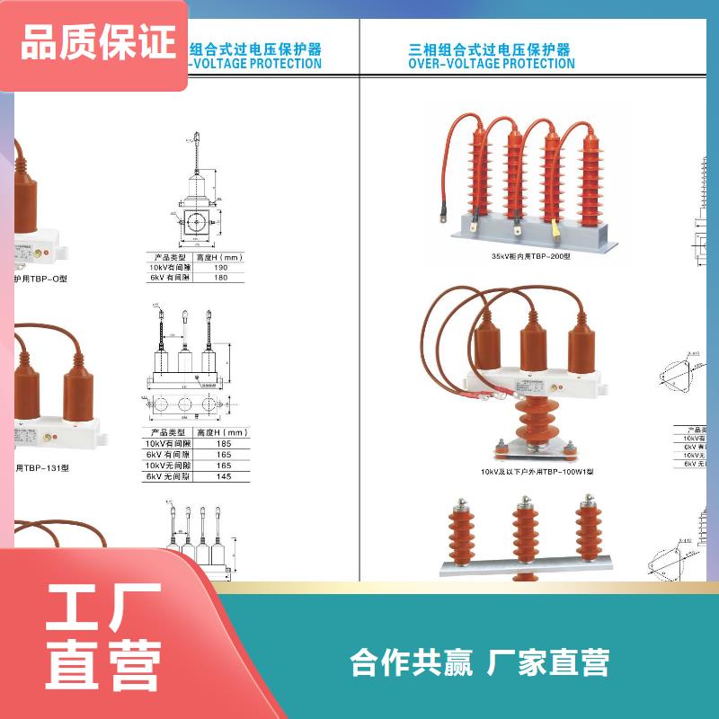 六安-永磁真空断路器ZW32-12MG/630-20现货销售